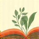 Open book or blog icon